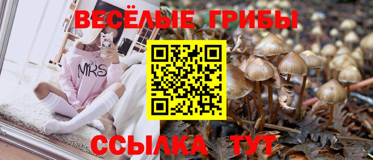 Псилоцибиновые грибы ЛСД  купить наркотик  Вход с VPN  Ноябрьск  Псилоцибиновые грибы прущие грибы 