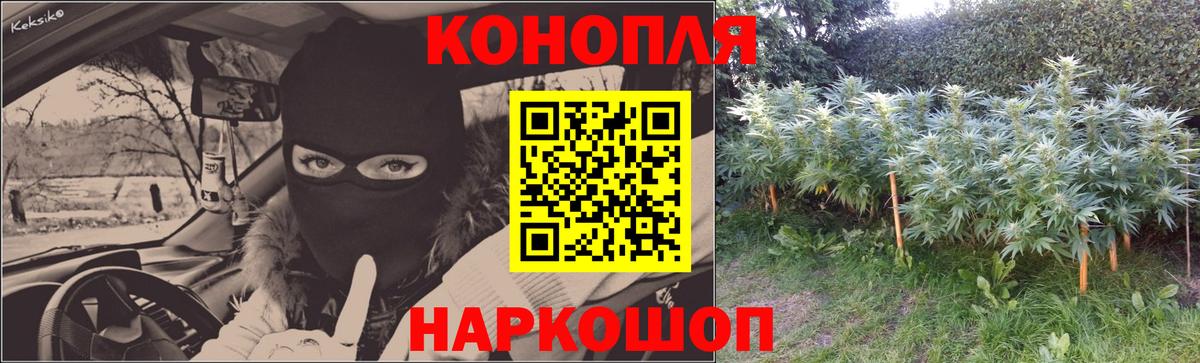 Шишки марихуана сатива  Канабис конопля  Бошки марихуана ГИДРОПОН  Ноябрьск  Вход с VPN 